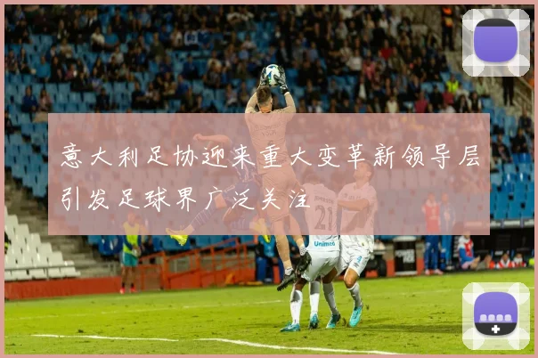 意大利足协迎来重大变革新领导层引发足球界广泛关注