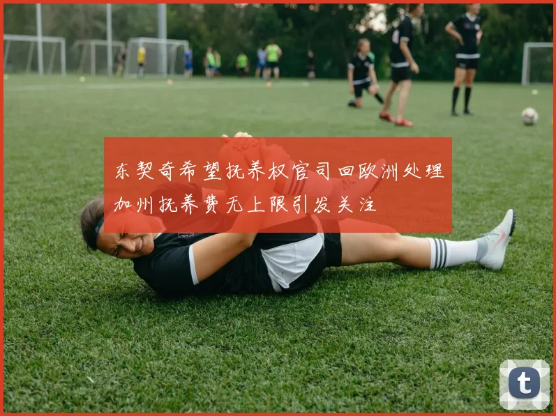 东契奇希望抚养权官司回欧洲处理加州抚养费无上限引发关注