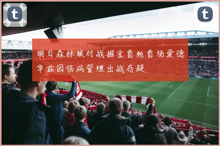 明日森林狼对战掘金首轮首场爱德华兹因伤病管理出战存疑